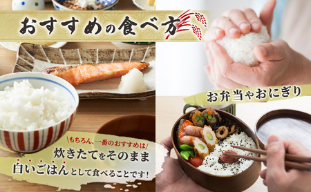 米 ゆめぴりか 精米 白米 令和7年産 3回 5kg 特A