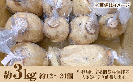 【先行予約 2026年11月～発送】洗いれんこん約3kg / れんこん [IDC006]