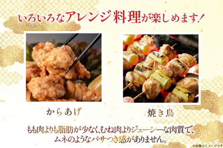 鶏肉 宮崎県産 若鶏 肩肉 300g 10p 計 3kg セット