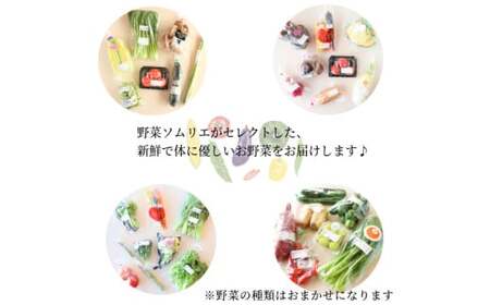 旬のエシカル野菜セット