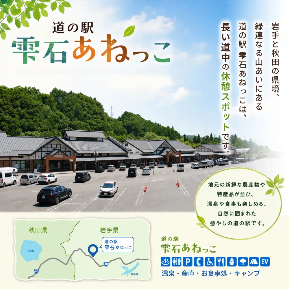 雫石純蜂蜜 トチ 500g 1本 【あねっこ】 純粋 蜂蜜 はちみつ ハチミツ ハニー ５００ｇ １本 国産 国内産 日本産 ボトル 長期保存 産地直送 栃 とち トチ蜜 とち蜜 栃蜜 蜜 みつ ミツ 人気 稀少 希少 お取り寄せ プレゼント 贈り物 仕送り 家庭用 自宅用 常温発送 調味料 隠し味 おすすめ