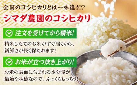 【定期便2回】【令和7年産】 福井県産こしひかり 精米 5kg 小浜市 / シマダ農園 [BFAV009]