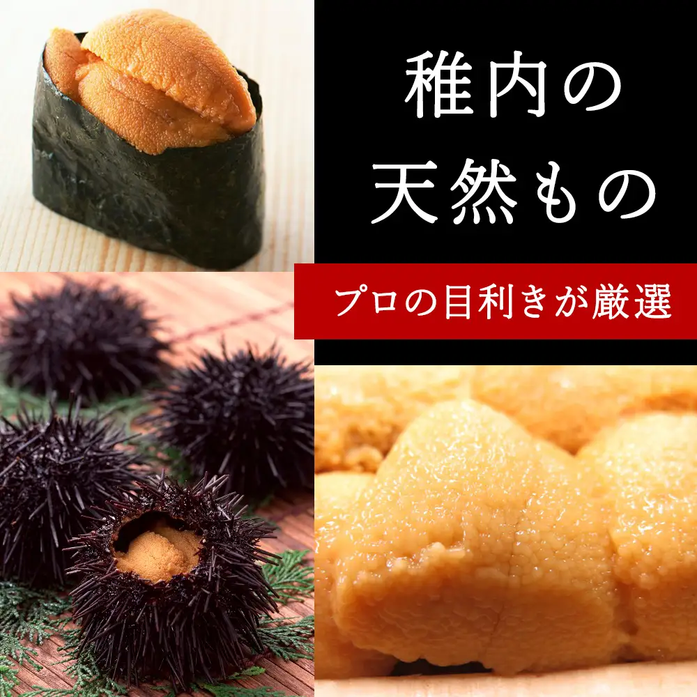 【2027年発送】利尻昆布を食べておいしく育った「生むらさきうに」240ｇ