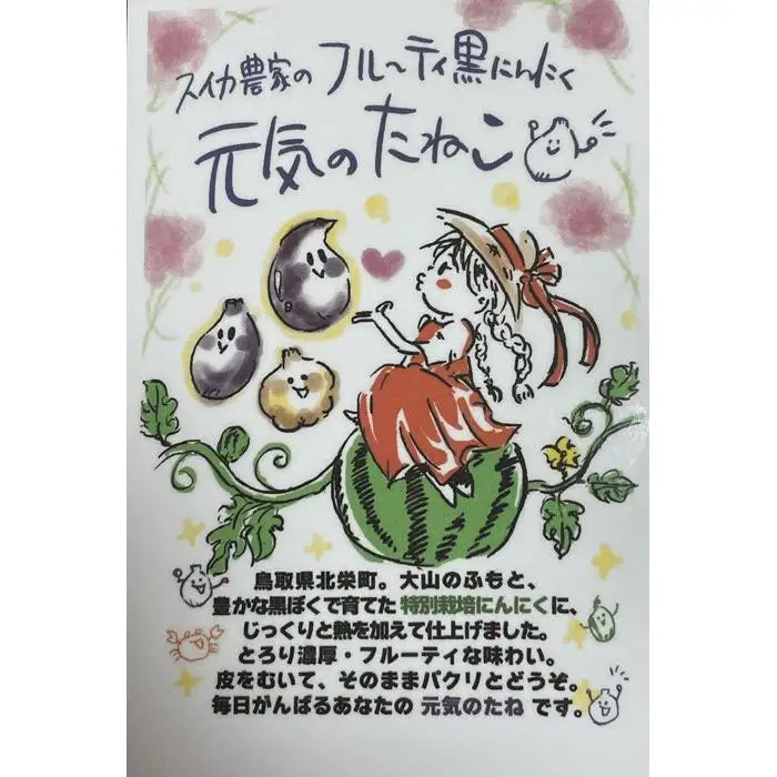 【定期便 全3回】スイカ農家のフル～ティ黒ニンニク 元気のたねこ ジャンボにんにく 鳥取県産「鳥取県特別栽培農産物」認証の自社生産ホワイト六片とジャンボにんにくを使用 ※着日指定不可 ※2026年7月中旬～2027年2月下旬頃に順次発送予定