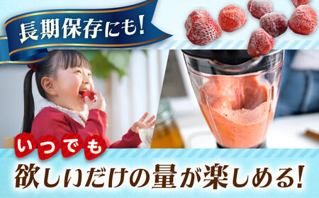 冷凍いちご 紅ほっぺ 1kg×3袋 国産 完熟 スムージー ジャム ヨーグルト 一口サイズ イチゴ 完熟 苺 果物 フルーツ 冷凍 広島県福山市/株式会社ベジータ[BABR001]