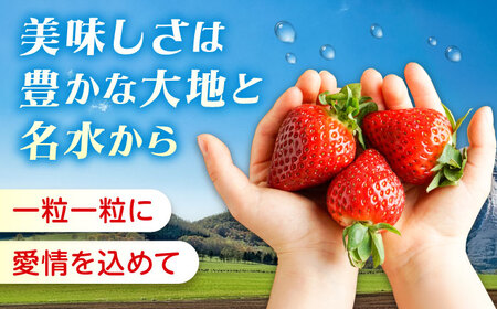 苺 紅ほっぺ 200g×4パック 国産 完熟 スムージー ジャム ヨーグルト 一口サイズ イチゴ 完熟 苺 果物 フルーツ 冷凍 広島県福山市/株式会社ベジータ[BABR002]