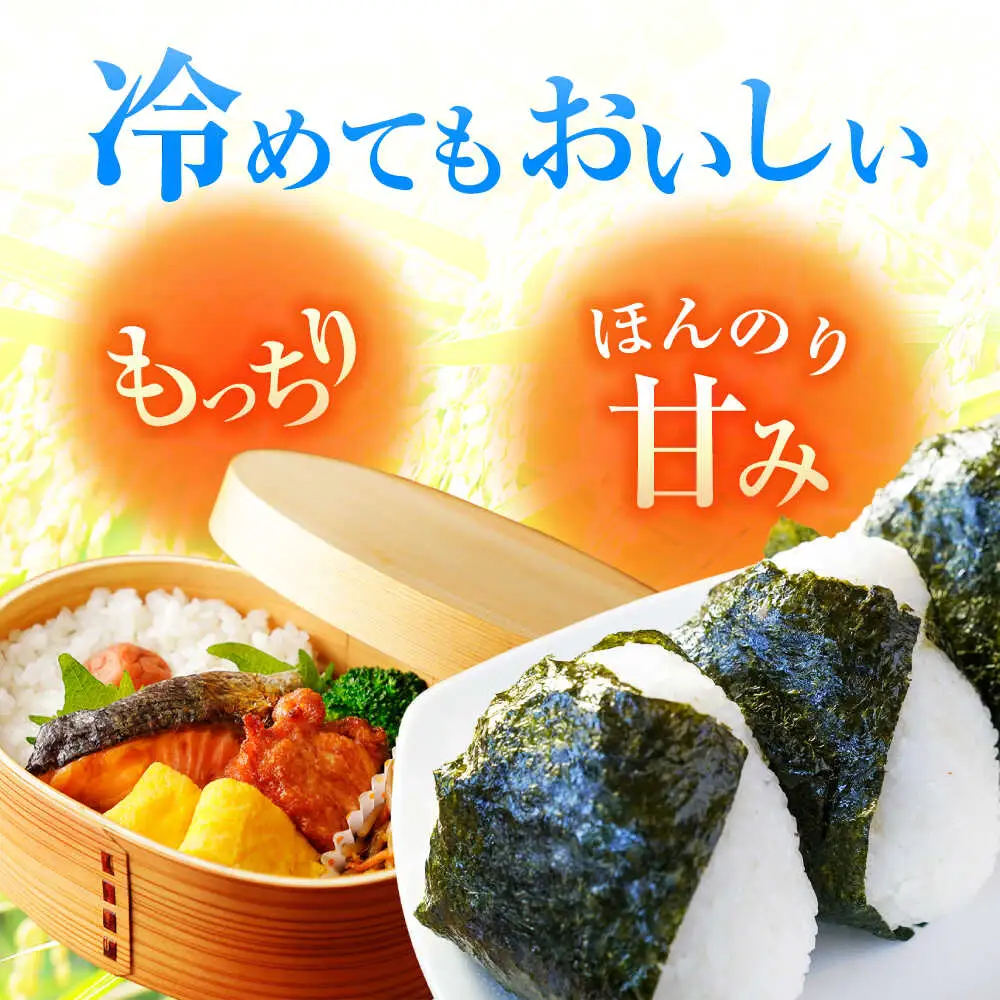 【令和8年産 新米】 【先行予約 /9月中旬以降発送】　福井県産 コシヒカリ 白米 10kg / 米 お米 精米 国産米 / 小浜市 / 北川博司 [BFDG001]