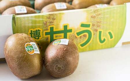 A200  福岡県産 ブランドキウイ・甘うぃ 約3kg（24～33玉） 【2026年10月下旬～12月上旬発送予定】 キウイ 果物 くだもの フルーツ