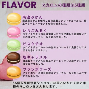 こだわり マカロン 詰め合わせ 10個入り セット 焼き菓子 スイーツセット マカロン10個入り ( 南濃みかん いちごみるく ピスタチオ 塩キャラメル フランボワーズ )