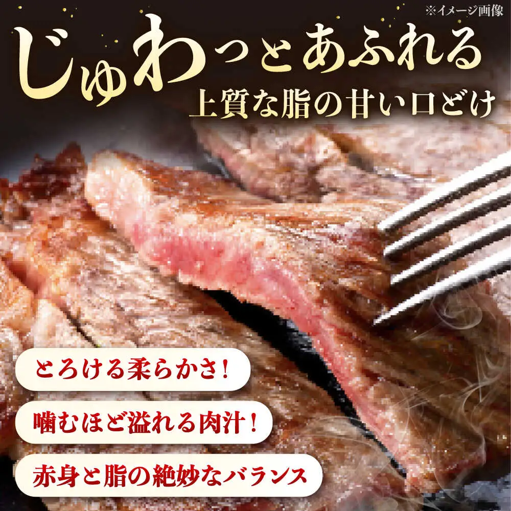 博多和牛 ロースステーキ 400g（200g×2枚） [ADCB010] 博多和牛 ロース ステーキ用 国産