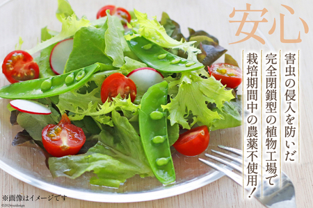 富山のおいしい水で生産した安心野菜（12袋）