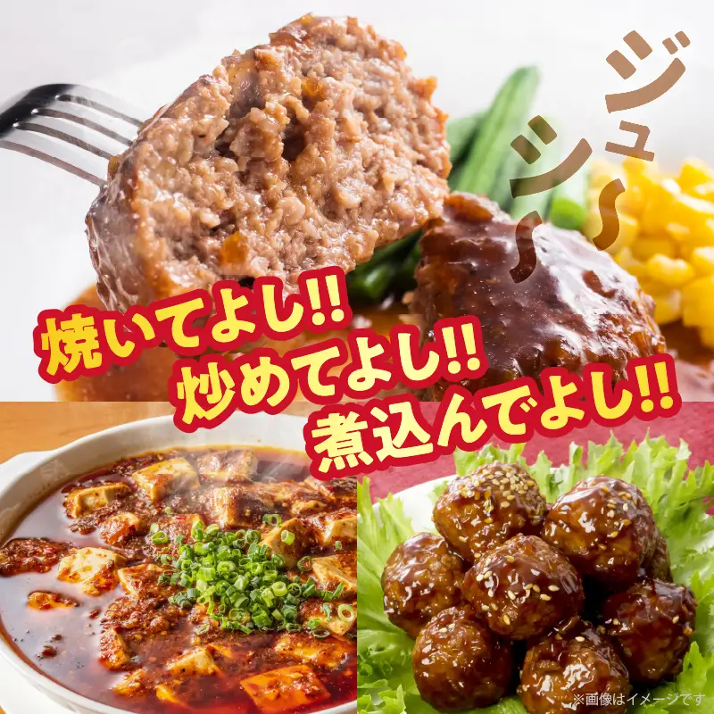 宮崎県産豚ミンチ肉 計1.2kg(300g×4パック) 肉 豚 豚肉 国産_T025-0415