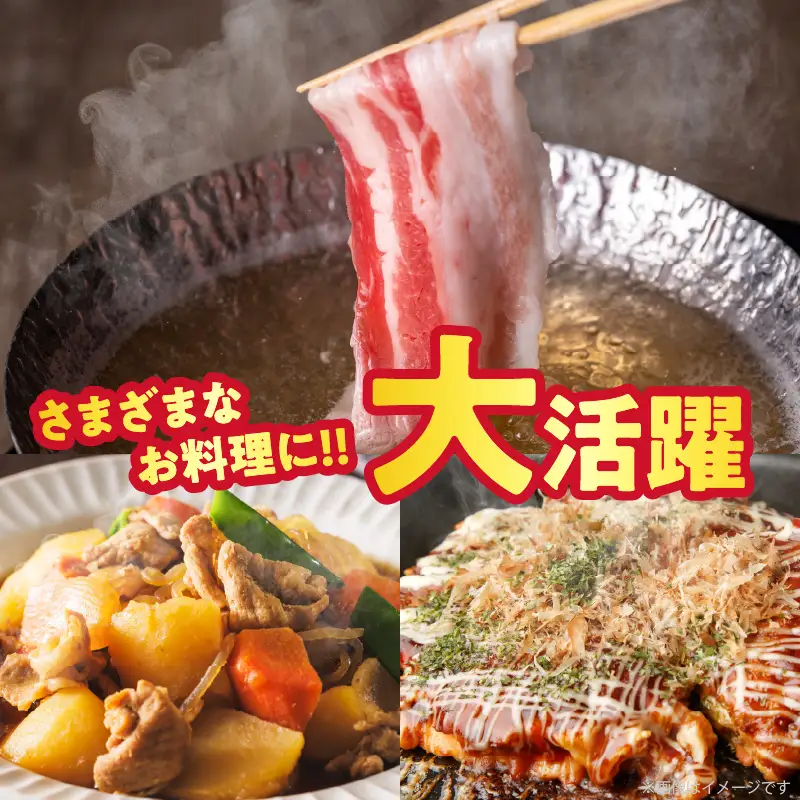 宮崎県産豚バラしゃぶしゃぶ（計1.5kg）肉 豚 豚肉 おかず 国産_T025-0435