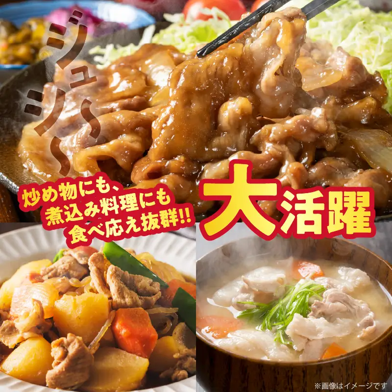 宮崎県産豚もも切り落とし（計1.5kg）肉 豚 豚肉 おかず 国産_T025-0445