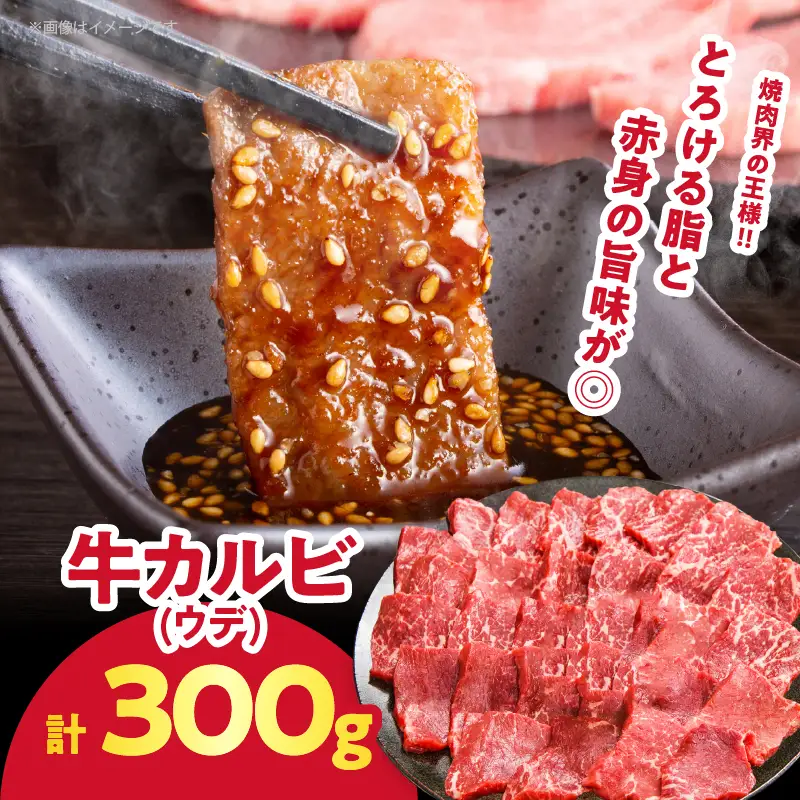 ≪訳あり≫牛&豚 贅沢盛り合わせ（牛モモ・カルビ・豚バラ）合計1.2kg 肉 牛 豚 豚肉 牛肉 おかず 国産_T025-0455