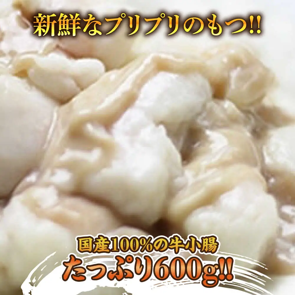 博多 明太醤油もつ鍋セット 4-6人前[BGAF011] めんたいチューブ