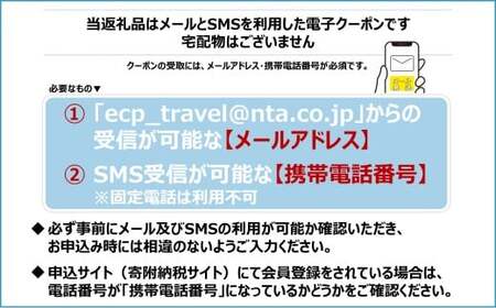 北海道函館市　日本旅行　地域限定旅行クーポン30,000円分（Eメール発行）_HD131-008