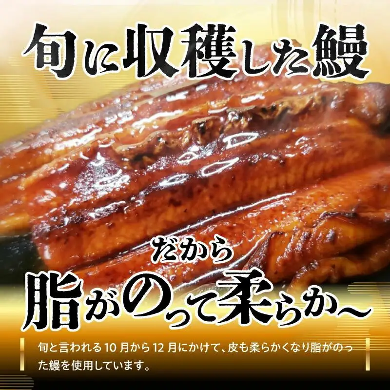 【お中元ギフト】源内うなぎ（3尾）