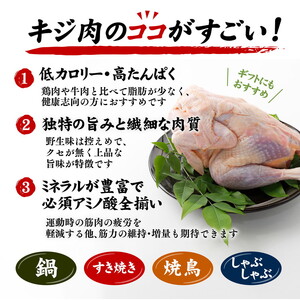 ＜ふるさと納税限定＞【解体済み】きじ丸鶏1羽（約900g） ◇ ｜ キジ肉 雉 きじ キジ ジビエ とり 鶏肉 パーティー ムネ モモ ササミ 秋 冬 熟成 加工品 愛媛県 鬼北町　※離島への配送不可