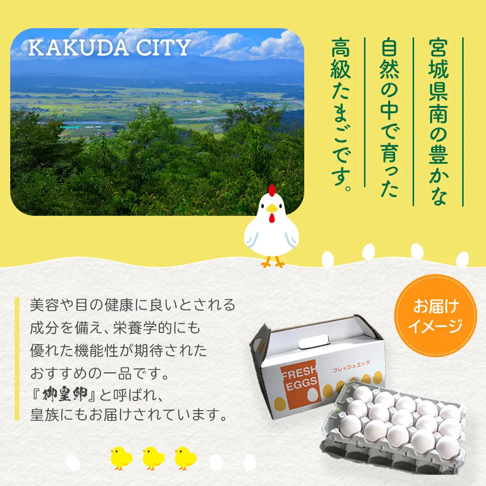 おおえだファーム アスタキサンチン卵（白）Lサイズ 60個入り 卵