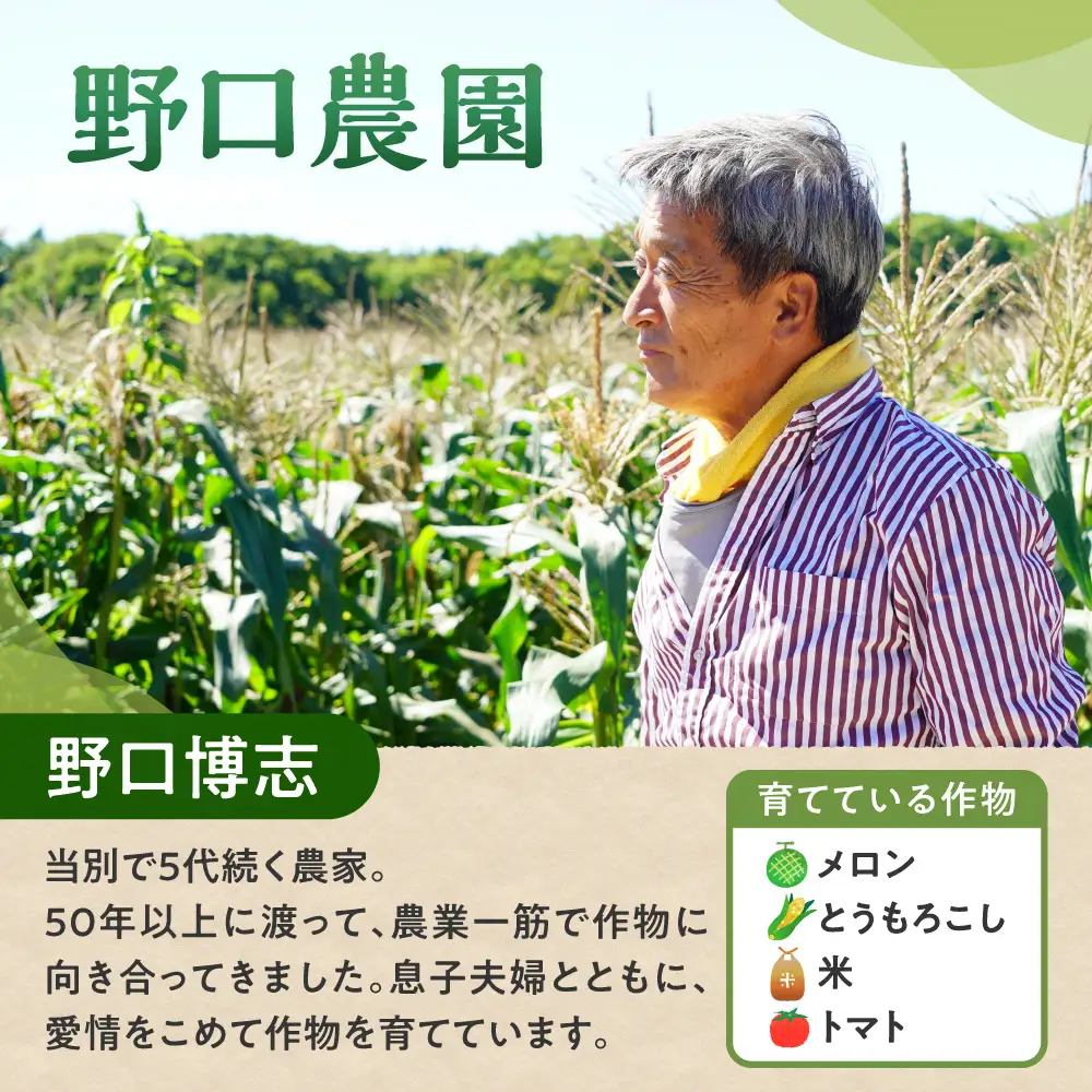 野口農園ななつぼし5kg｜お米 北海道産 産地直送 ブランド米 国産 精米 白米 米 