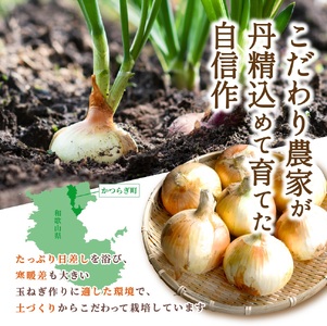 和歌山県産新玉ねぎ約10kg　Lサイズ 約25個入り　こだわり農家厳選！【2027年4月末頃～6月中旬頃に発送予定】人気 おすすめ たまねぎ 玉ねぎ 玉葱 タマネギ オニオン スープ サラダ 国産 野菜 新鮮 ビッグサイズ 大きい BBQ【BK-kgr033】