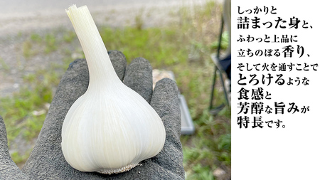 【先行予約】超芳醇 つくばみらいの土が育んだ 最上級ニンニク 約1kg つくばみらい市 （2026年6月より発送開始）