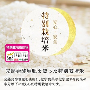 【令和8年産 新米】特別栽培米 ササニシキ 15kg お米 おこめ 米 コメ 白米 ご飯 ごはん おにぎり お弁当【農事組合法人若木の里】ta535