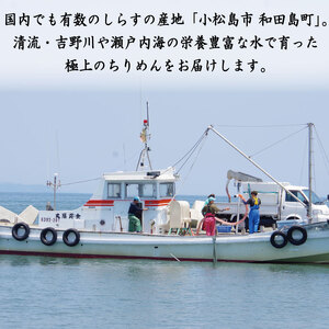 【獲れたて即加工！】 ちりめん 訳あり 400g  ちりめんじゃこ 徳島 小松島