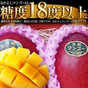 【期間限定】完熟なかよし マンゴー 約750g
