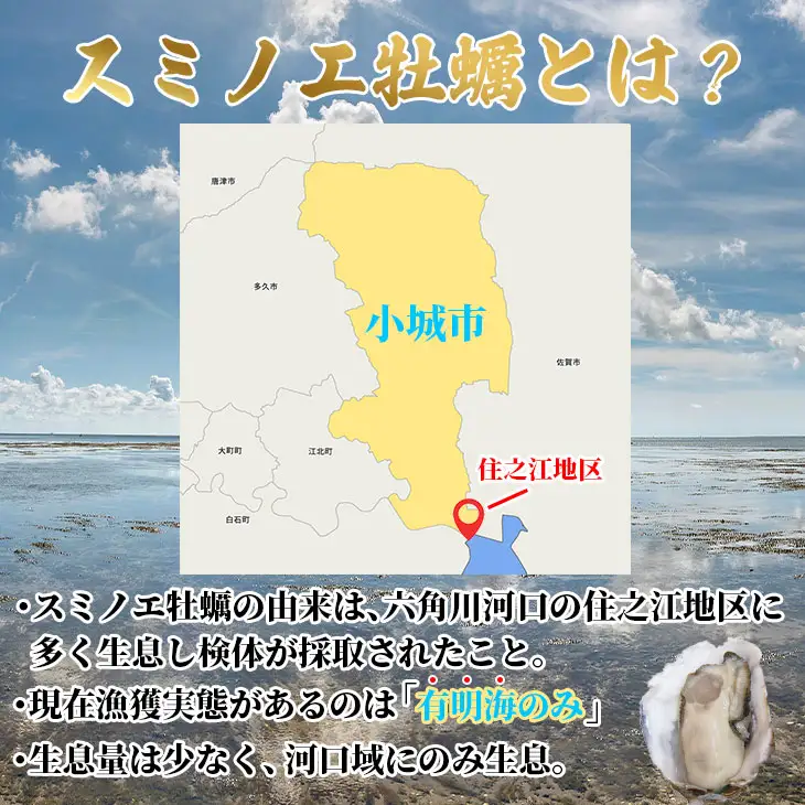 【天然】有明海産住之江牡蠣　冷凍スミ☆スター 2kg 牡蠣 冷凍 殻付き B110-030