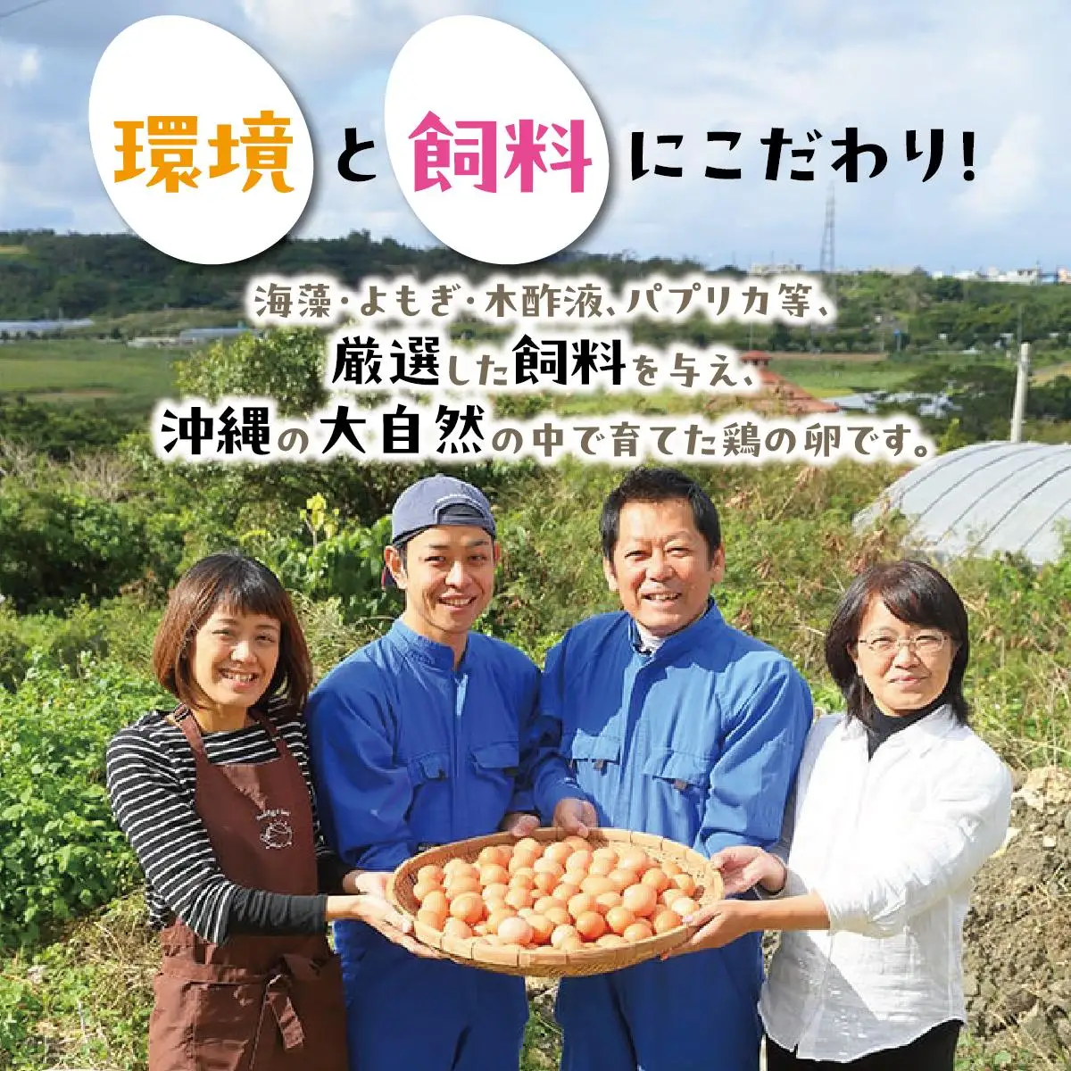 美ら卵養鶏場の卵 120個【6ヶ月定期便】   