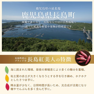 ＜定期便・2ヶ月毎発送全3回＞鹿児島県産さつまいも使用 ロイヤルのスイートポテト(9個)  スイートポテト 鹿児島 さつまいも菓子 スイーツ お菓子 おやつ 【ロイヤル】royal-1517