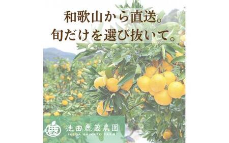 家庭用 有田 みかん 定期便 【5kg×3回】 / 温州みかん 有田みかん 甘い 訳あり 和歌山 有田 5kg ※北海道・沖縄・離島への配送不可 【ikd050-mikc-5-3A】