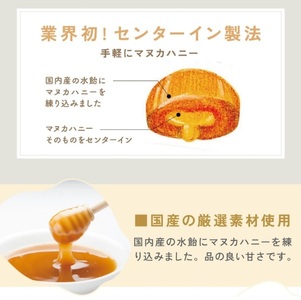 1033 【期間限定９月～３月】 ラ・シンシア　マヌカハニーをそのまま包み込んだ飴セット 4袋（のど飴 73g×2袋、しょうが飴 75g×2袋）