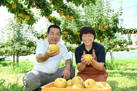 「あきづき」 梨 なし 5kg | 先行予約 数量限定 贈答用 なし 梨 果物 くだもの フルーツ ナシ あきづき 旬 栃木県 上三川町 本田果樹園 ※2026年9月～発送