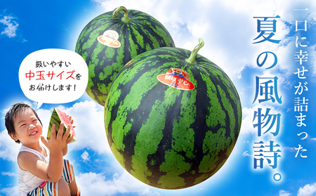 【先行予約】＜愛媛県西予市産 中玉西瓜 2玉＞ 果物 くだもの 果肉 フルーツ 西瓜 すいか スイカ 中玉 中玉すいか 中玉スイカ M～L 5～7kg 高糖度 甘い 季節物 食べて応援 国産 特産品 宇都宮物産 愛媛県 西予市【常温】『2026年7月上旬～8月上旬迄に順次出荷予定』UUB0071