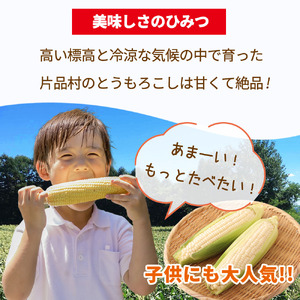 片品村産 白いとうもろこし （ホイップコーン） 約５kg