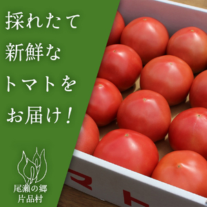 片品村産トマト　1箱