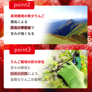 尾瀬の郷 片品村産旬のりんご