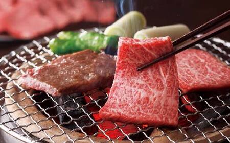 〈山形の極み〉山形牛 焼肉用 ロース 500g 肩ロース 500g 合計 1kg 肉 にく お肉 牛 牛肉 焼肉 バーベキュー BBQ 国産 山形牛 山形県 新庄市 F3S-2437