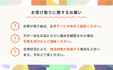先行予約 フルーツ定期便全4回 2026年産 ns-ft4xx