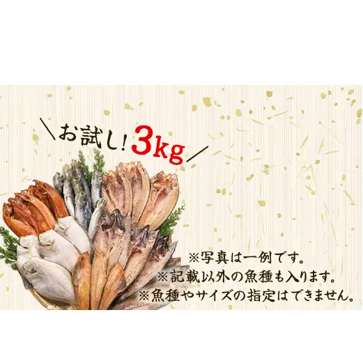 【2026年11月下旬発送】訳あり 干物・切身 セット 3kg お試し 規格外 傷 不揃い 詰め合わせ おまかせ 干物 魚 ホッケ カレイ イワシ