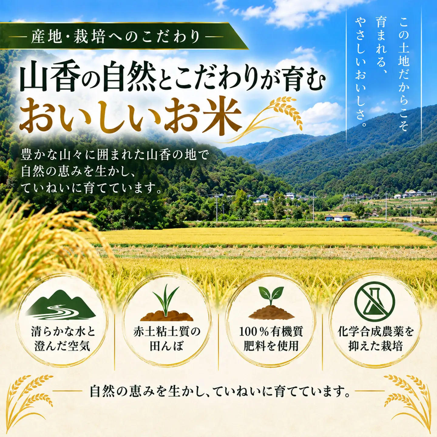 【新米】令和8年産 あきさかり 10kg 精米 山香ゆうきの会 大分県産＜002-302＞