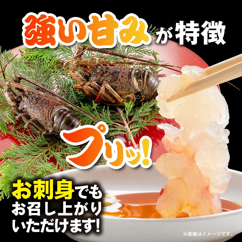活〆冷凍伊勢海老600g【配送不可地域：離島】【1607625】