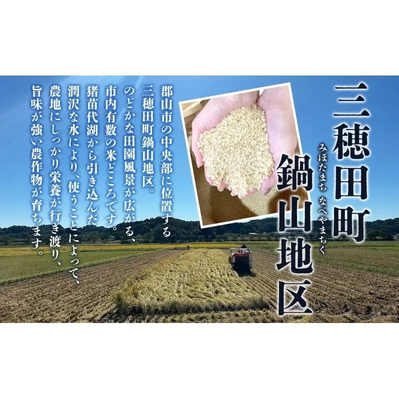 焼酎 美穂田 鍋山720ml 2本 セット 酒 お酒 アルコール 飲料 原酒 米焼酎 三穂田町 鍋山地区 食中酒 チヨニシキ 米麹 醸造 ロック お取り寄せ 贈答 晩酌 家飲み ギフト 常温 尚楠 福島県 郡山市