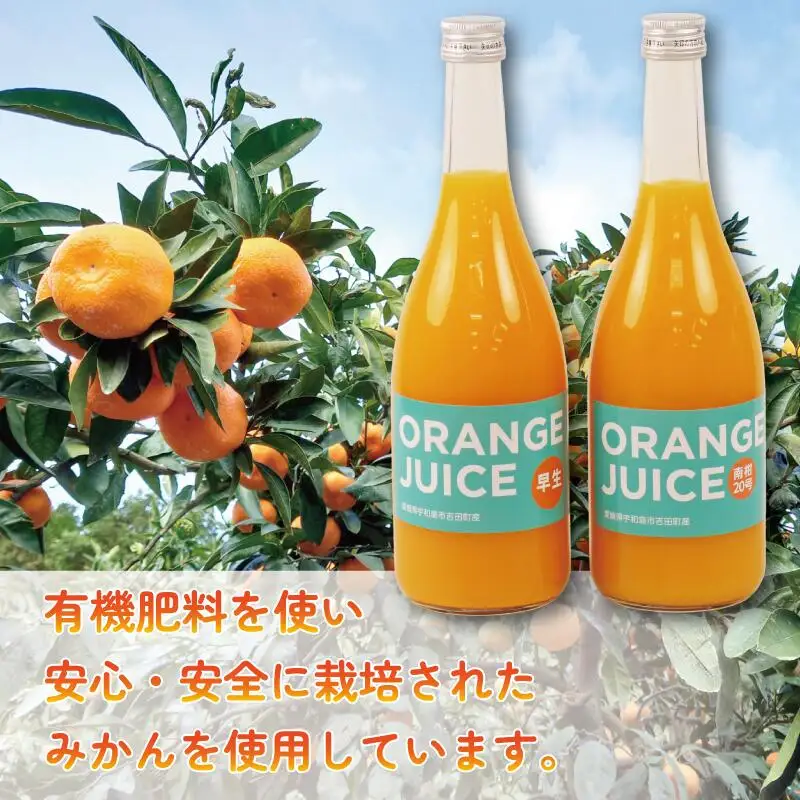 ジュース 元気がでる みかん 100％ ストレート ジュース 早生 南柑20号 各720ml × 2本 セット ORANGE Salud! オレンジサルー わせ 南柑 温州みかん みかんジュース 100%ジュース 蜜柑 mikan フルーツ ジュース 果汁 飲料 果物 くだもの 数量限定 国産 愛媛 宇和島 H010-196001