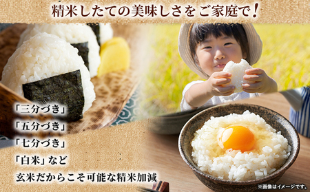 ＜令和7年産 ちほみのり 玄米 25kg＞げんまい 米 こめ コメ ご飯 穀物 25キロ 産地直送 愛媛県産 西予市産 特産品 やまこのうえん 愛媛県 西予市【常温】『2025年9月上旬より順次出荷予定』UYN0003