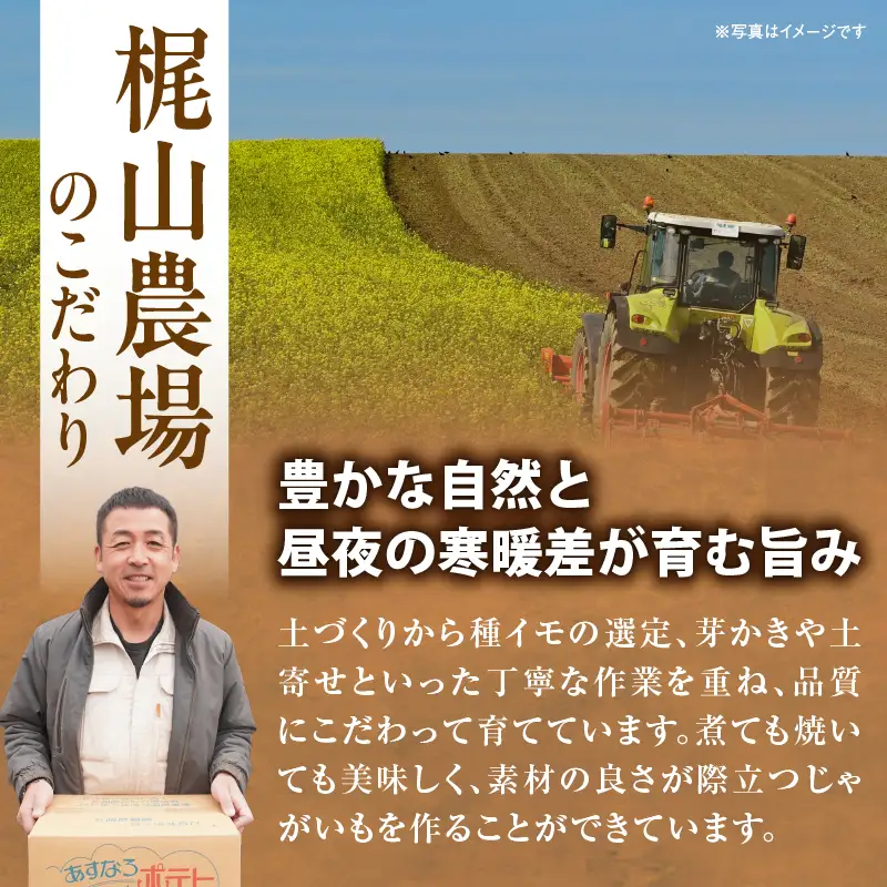 じゃがいも 男爵 5kg じゃがいも 北海道産 _S041-0005-2026