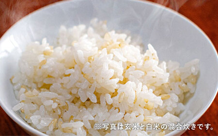 清家農園 錦米（にこまる）玄米 10kg×3回お届け【特別栽培・農薬不使用】 玄米